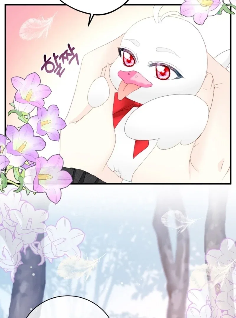 I Became The Black Swan Mother of The White Swan Princess Chapter 14 – Page 57