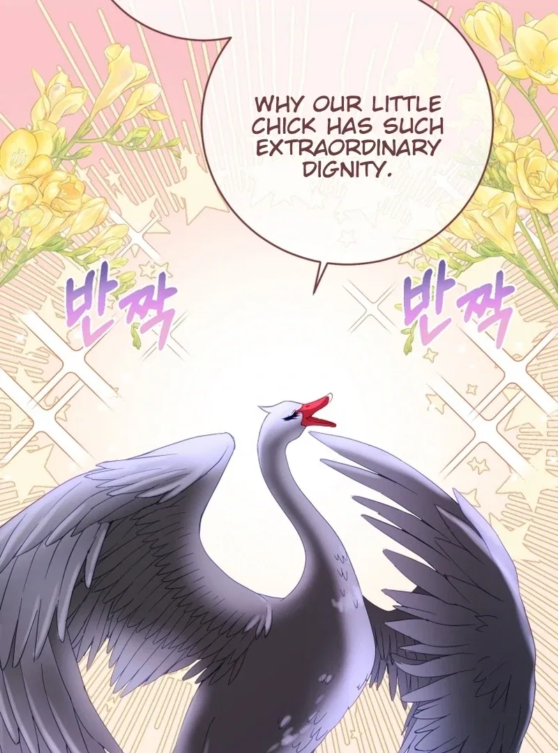 I Became The Black Swan Mother of The White Swan Princess Chapter 14 – Page 95
