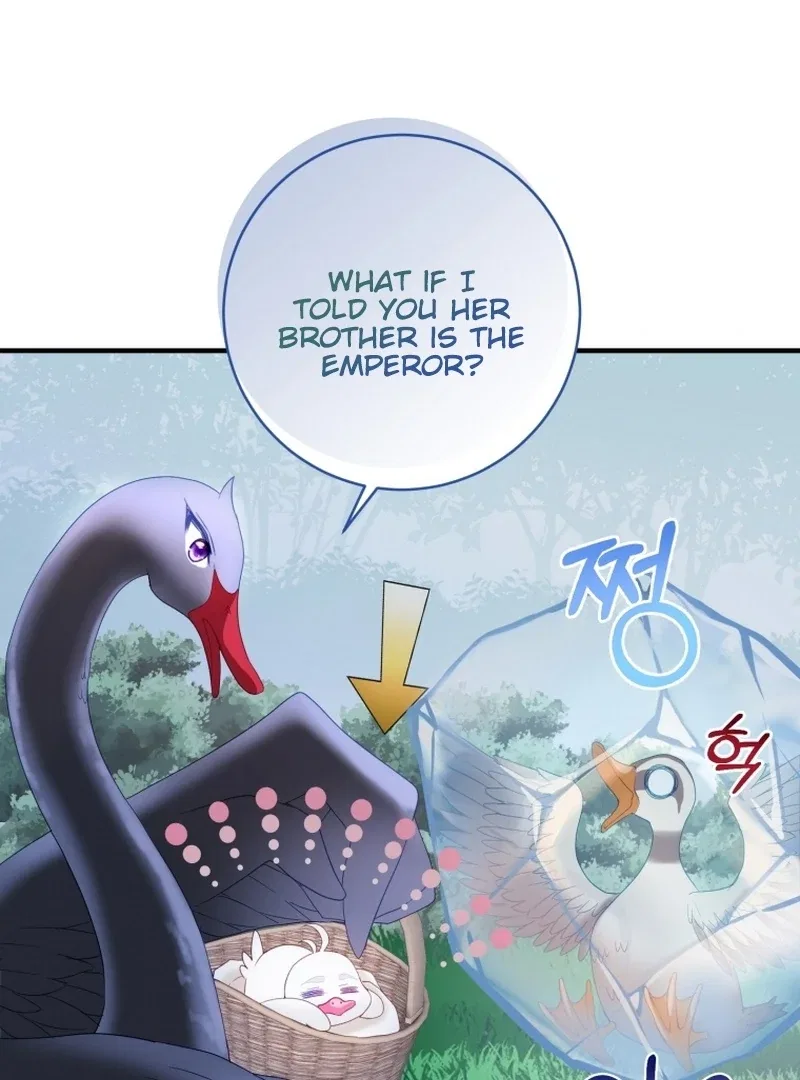 I Became The Black Swan Mother of The White Swan Princess Chapter 14 – Page 99