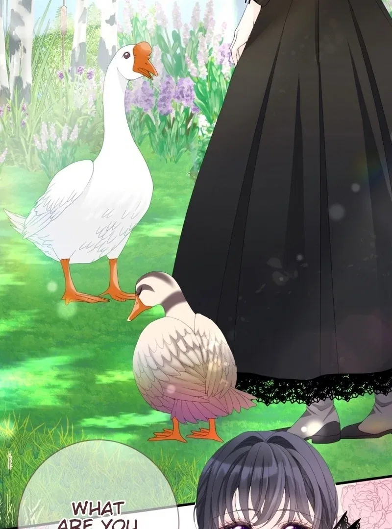 I Became The Black Swan Mother of The White Swan Princess Chapter 11 – Page 29