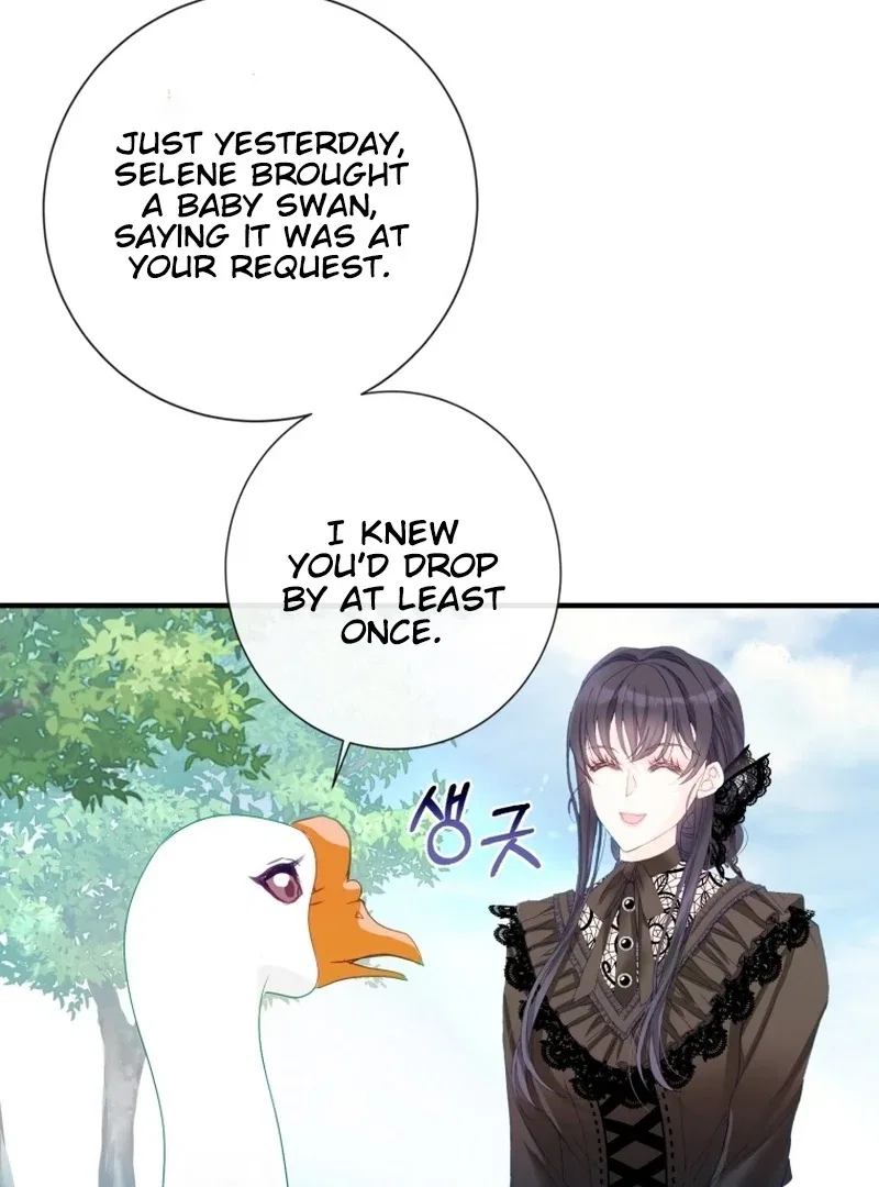 I Became The Black Swan Mother of The White Swan Princess Chapter 11 – Page 31