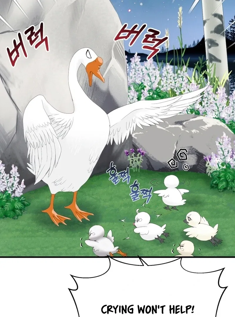 I Became The Black Swan Mother of The White Swan Princess Chapter 11 – Page 59