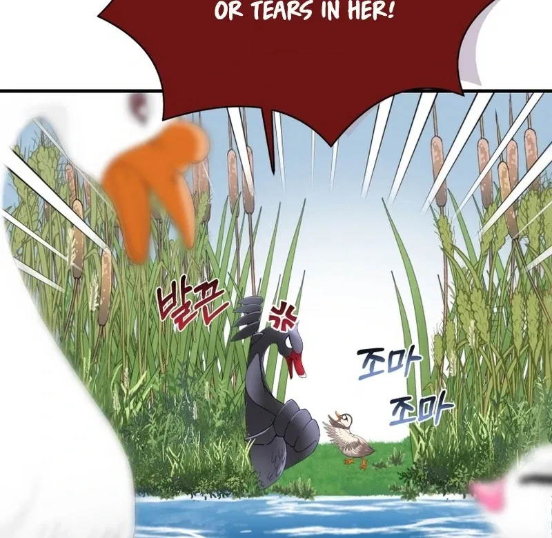 I Became The Black Swan Mother of The White Swan Princess Chapter 11 – Page 61