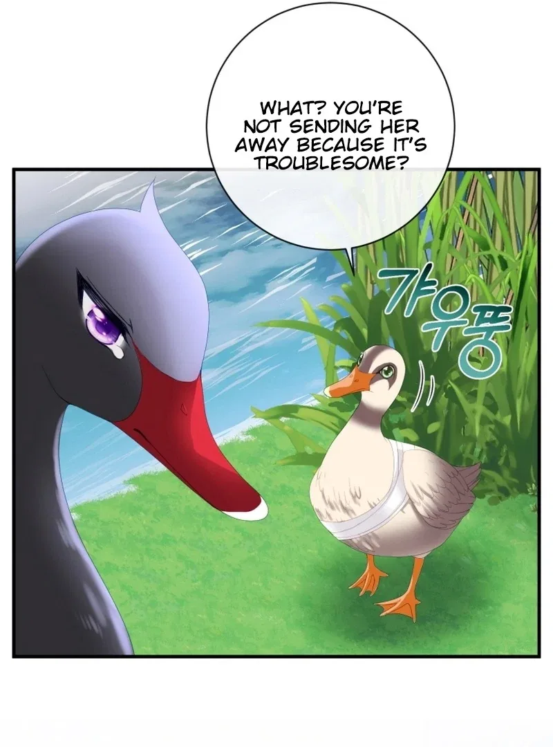 I Became The Black Swan Mother of The White Swan Princess Chapter 11 – Page 72
