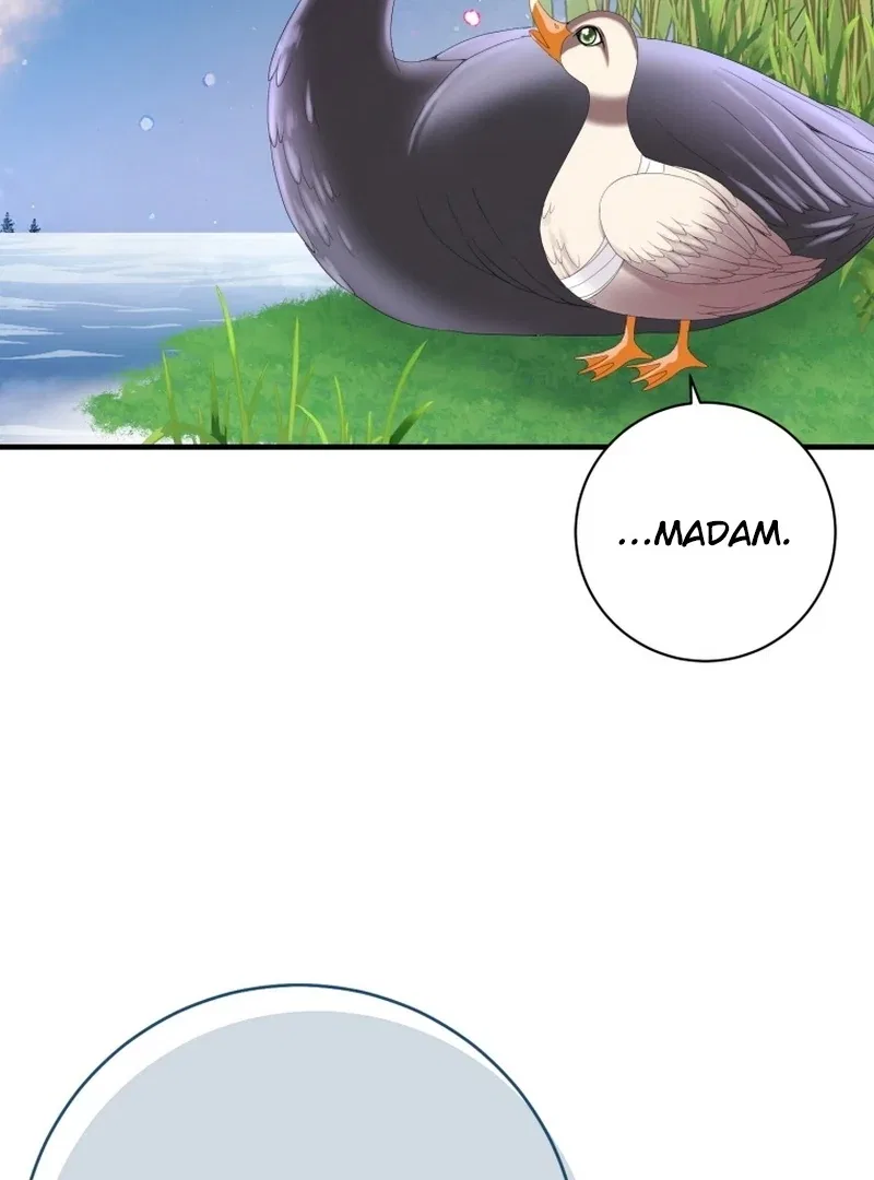 I Became The Black Swan Mother of The White Swan Princess Chapter 11 – Page 74