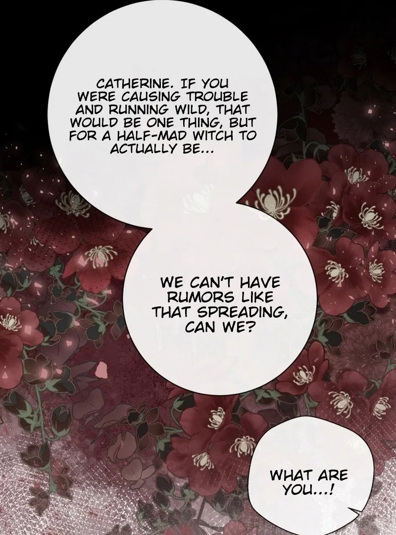 I Became The Black Swan Mother of The White Swan Princess Chapter 10 – Page 65
