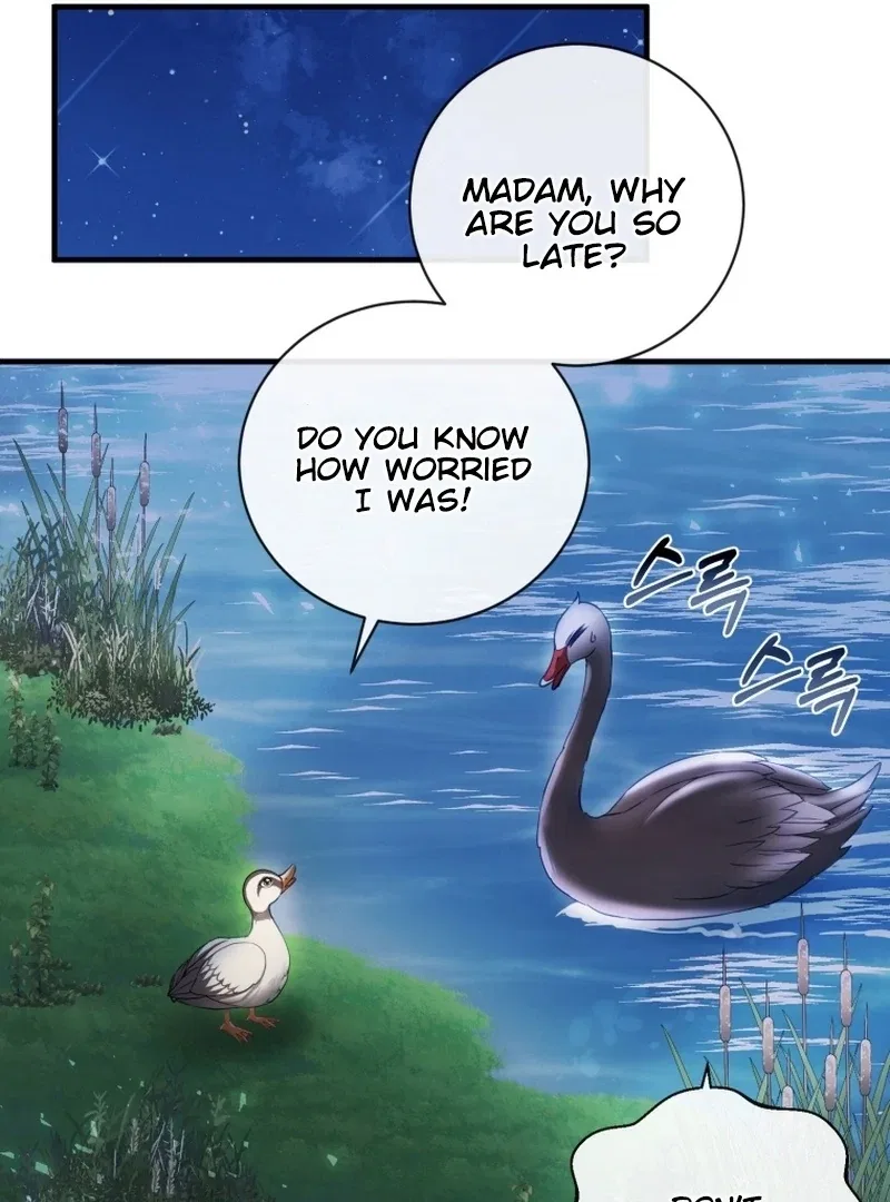 I Became The Black Swan Mother of The White Swan Princess Chapter 9 – Page 71