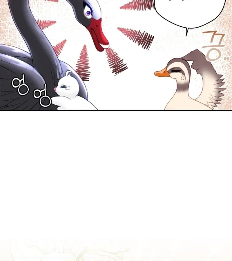 I Became The Black Swan Mother of The White Swan Princess Chapter 9 – Page 81