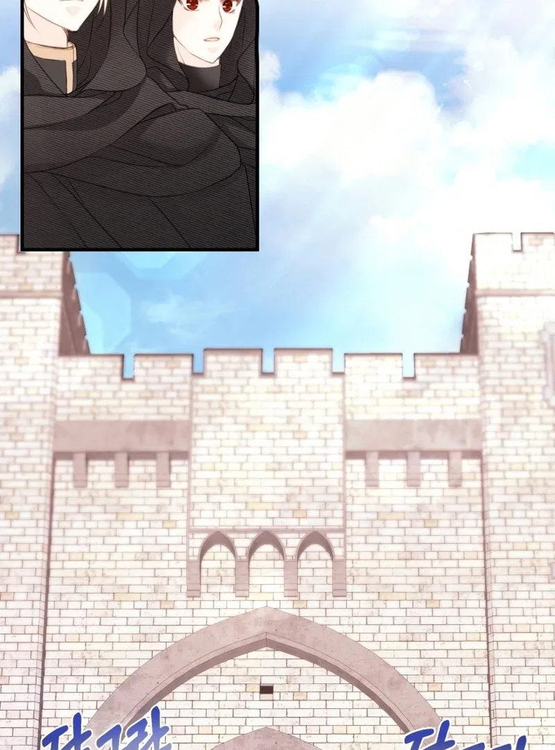 I Became The Black Swan Mother of The White Swan Princess Chapter 8 – Page 33