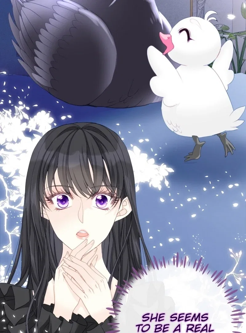 I Became The Black Swan Mother of The White Swan Princess Chapter 5 – Page 3