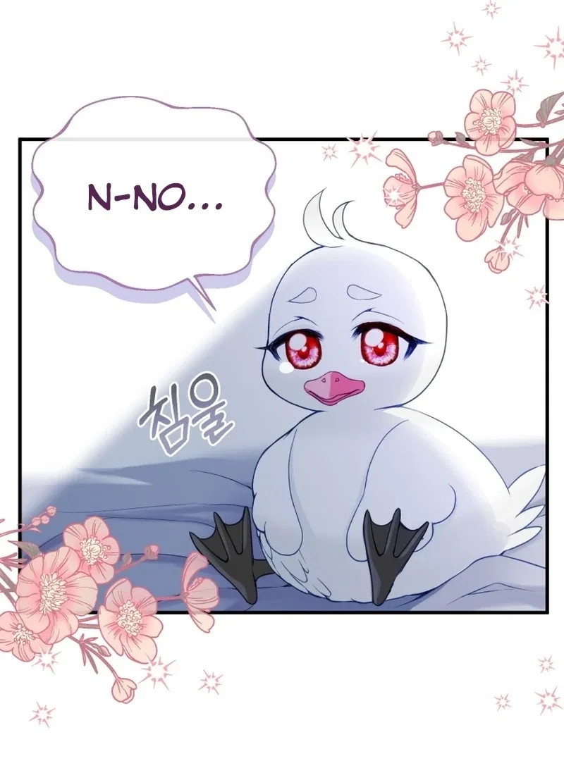I Became The Black Swan Mother of The White Swan Princess Chapter 5 – Page 8