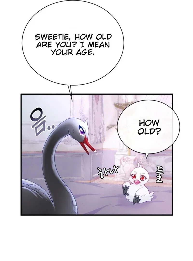 I Became The Black Swan Mother of The White Swan Princess Chapter 5 – Page 13
