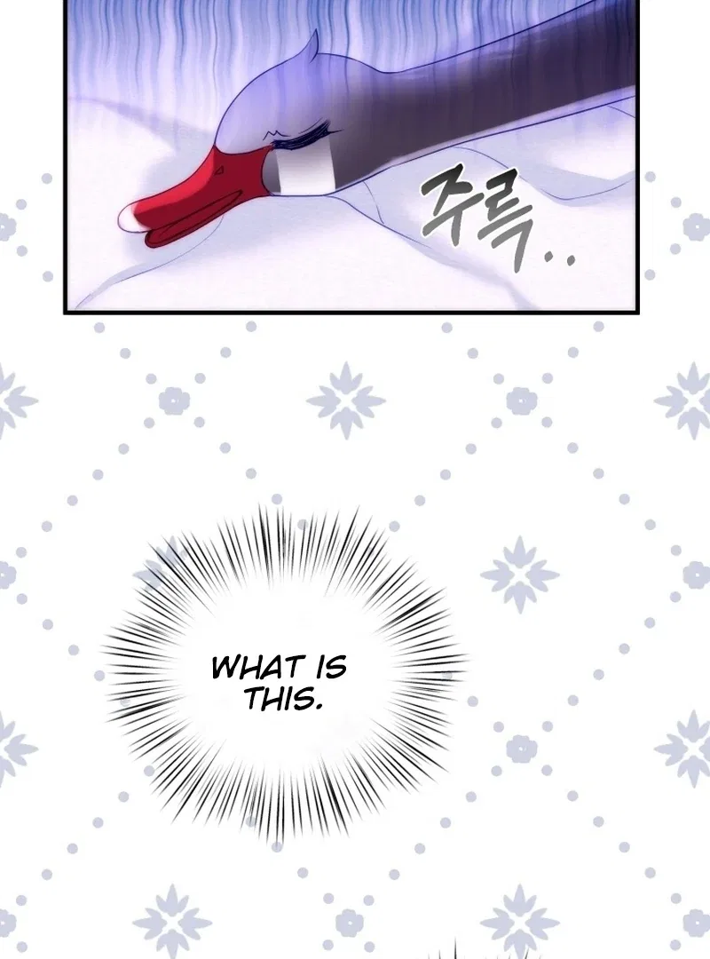 I Became The Black Swan Mother of The White Swan Princess Chapter 5 – Page 16
