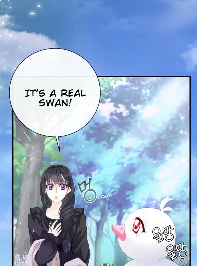 I Became The Black Swan Mother of The White Swan Princess Chapter 4 – Page 3