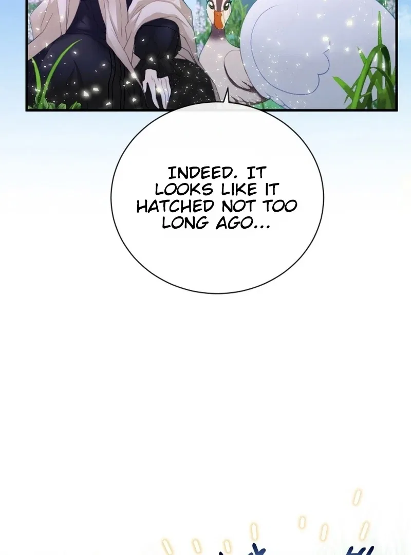 I Became The Black Swan Mother of The White Swan Princess Chapter 4 – Page 4