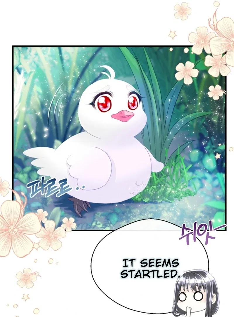 I Became The Black Swan Mother of The White Swan Princess Chapter 4 – Page 7