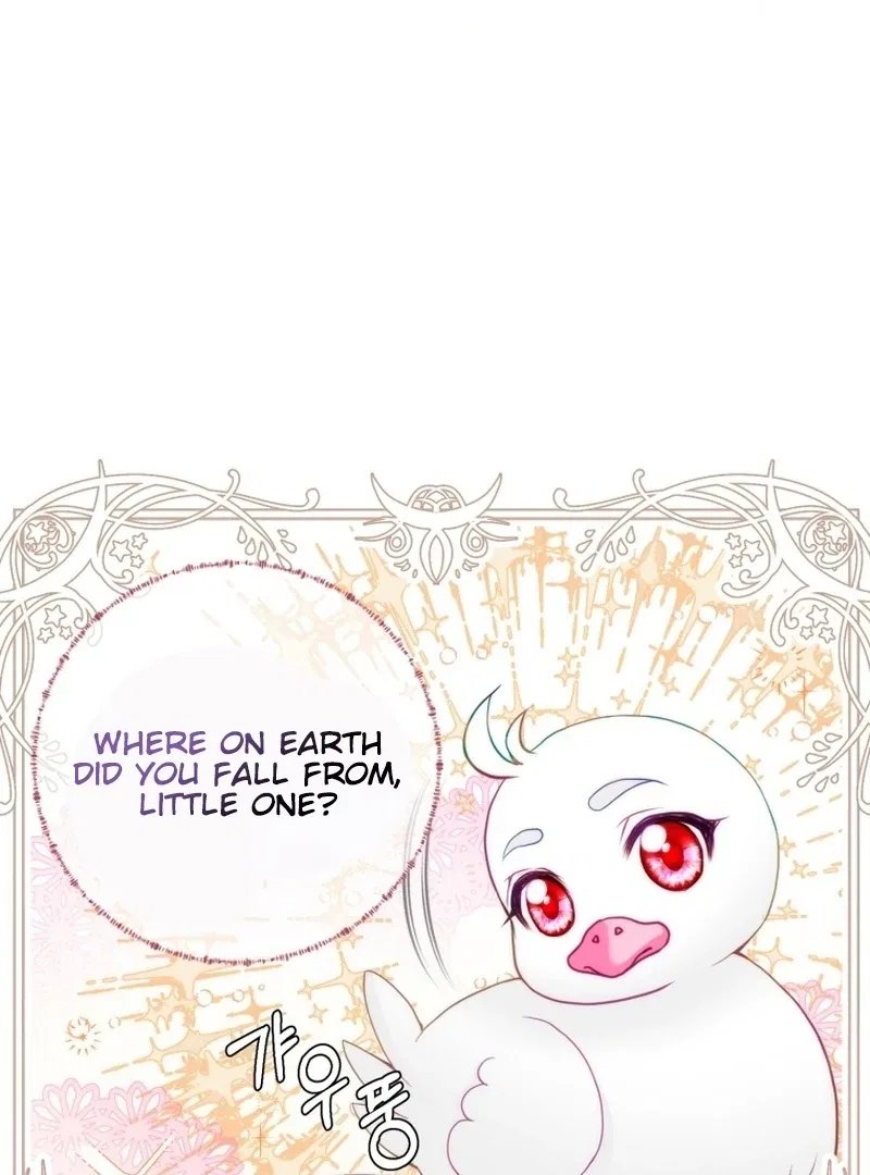 I Became The Black Swan Mother of The White Swan Princess Chapter 4 – Page 19