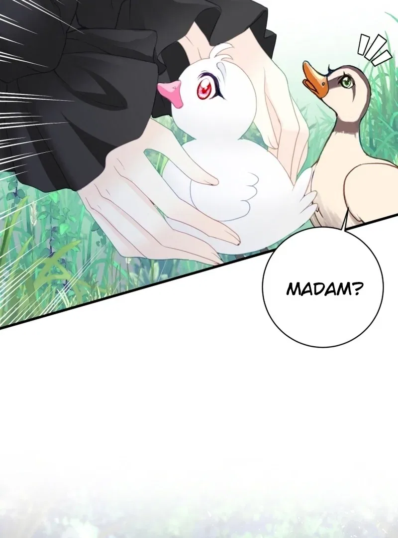 I Became The Black Swan Mother of The White Swan Princess Chapter 4 – Page 28