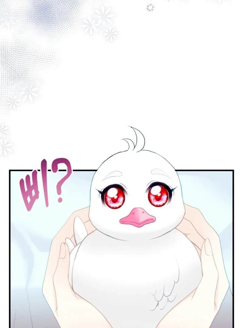 I Became The Black Swan Mother of The White Swan Princess Chapter 4 – Page 57