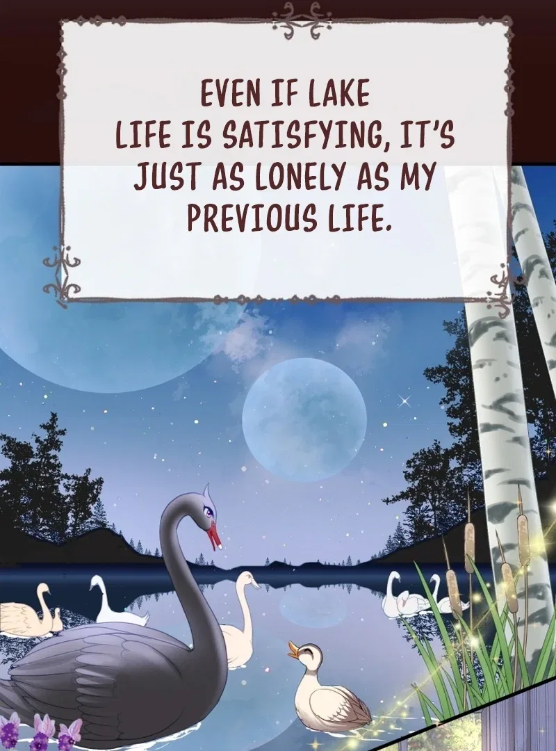I Became The Black Swan Mother of The White Swan Princess Chapter 4 – Page 60