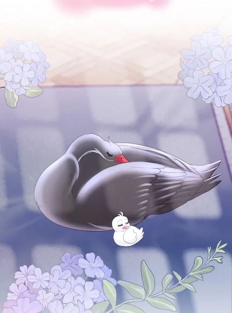 I Became The Black Swan Mother of The White Swan Princess Chapter 4 – Page 72