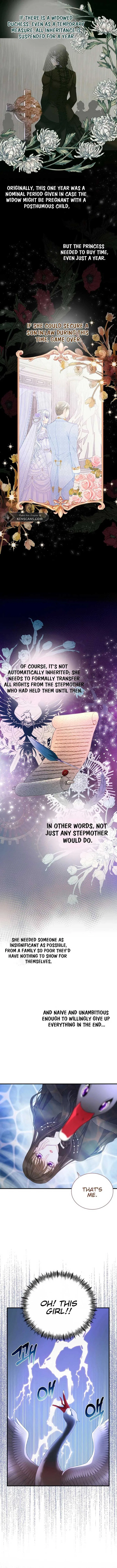 I Became The Black Swan Mother of The White Swan Princess Chapter 3 – Page 4