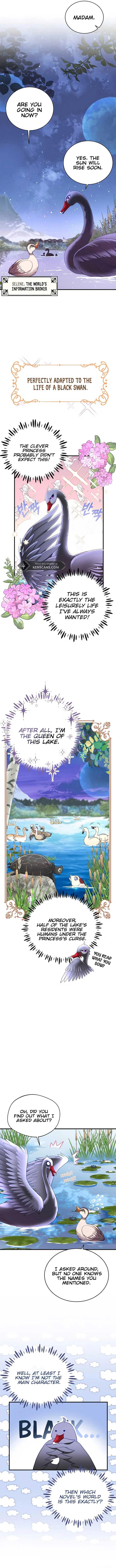 I Became The Black Swan Mother of The White Swan Princess Chapter 3 – Page 7