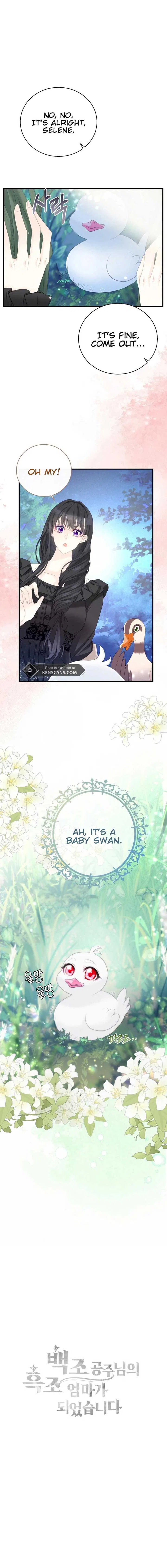 I Became The Black Swan Mother of The White Swan Princess Chapter 3 – Page 13