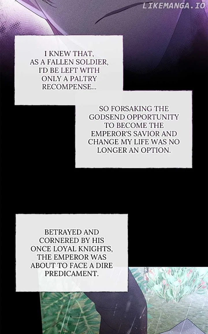 Don’t Grab the Broken Branch Chapter 42 – Page 36