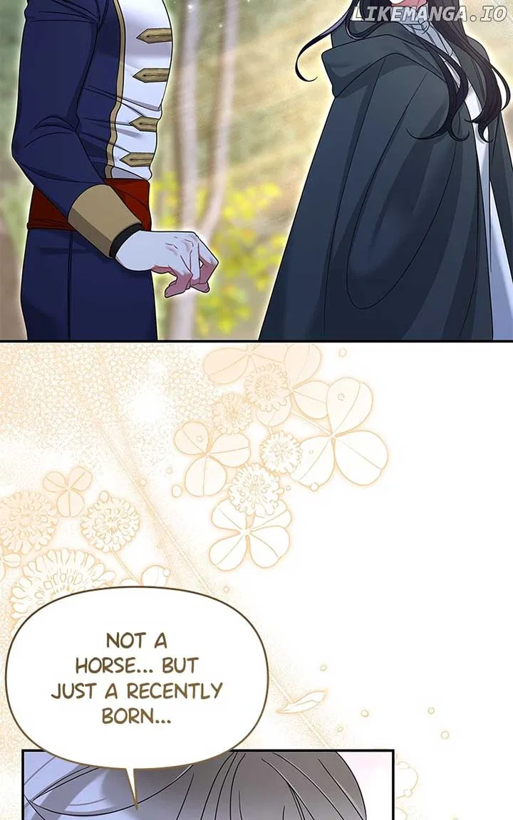 Don’t Grab the Broken Branch Chapter 39 – Page 48