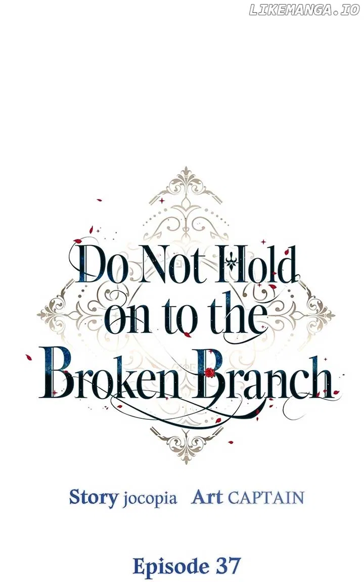Don’t Grab the Broken Branch Chapter 37 – Page 13