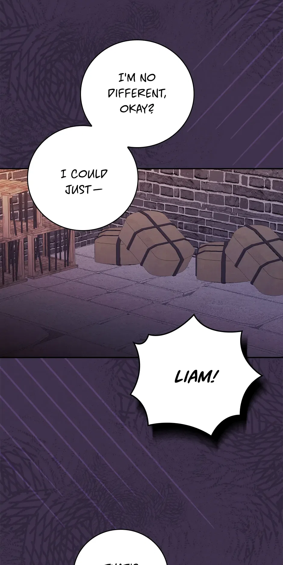 I’m Going To Meet You Beyond Time Chapter 37 – Page 17