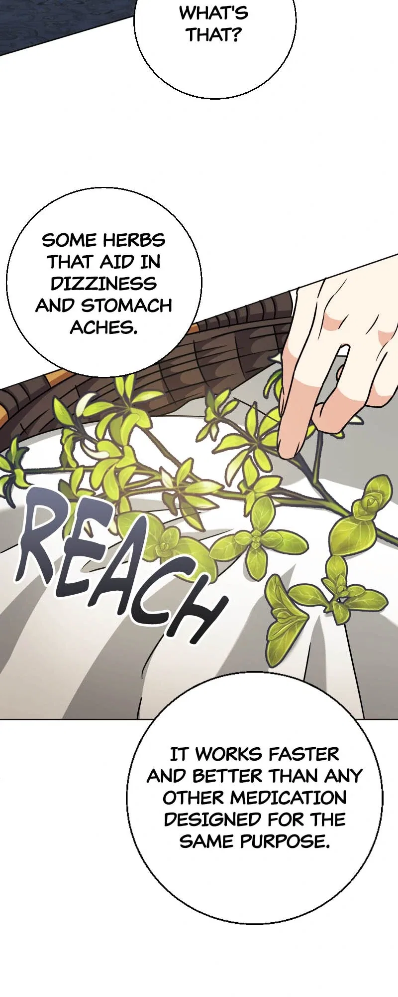 There’s a Witch in the Emperor’s Bedroom Chapter 25 – Page 41