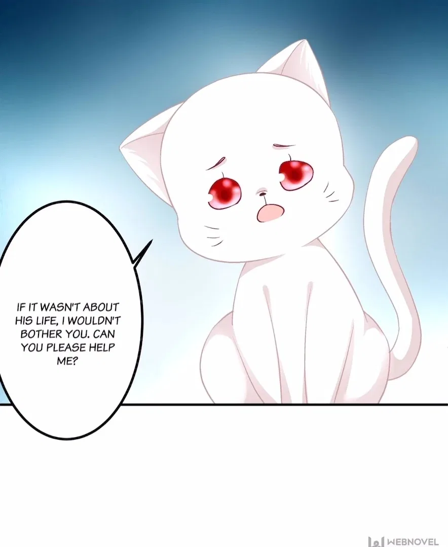 The Temptation of a Cat Demon Chapter 141 – Page 70