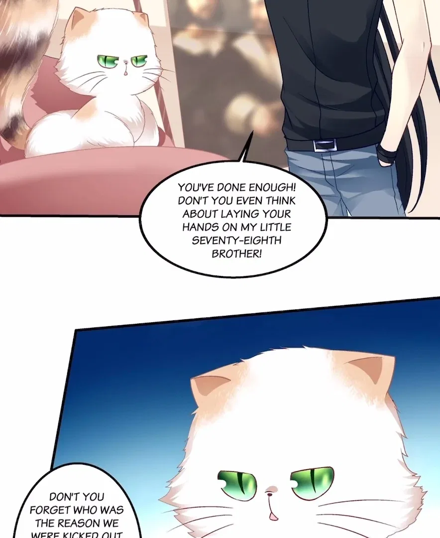 The Temptation of a Cat Demon Chapter 137 – Page 25
