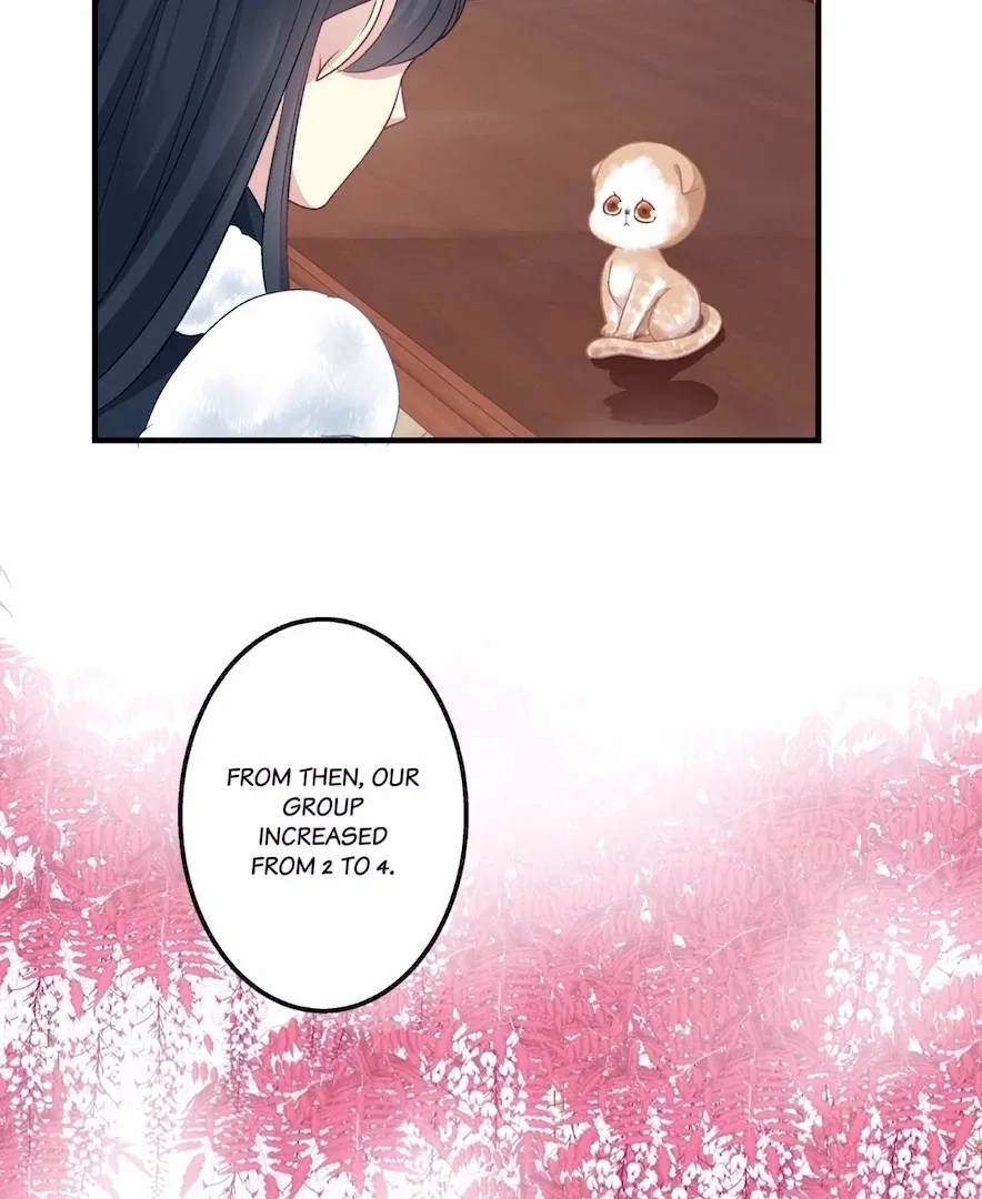 The Temptation of a Cat Demon Chapter 137 – Page 42