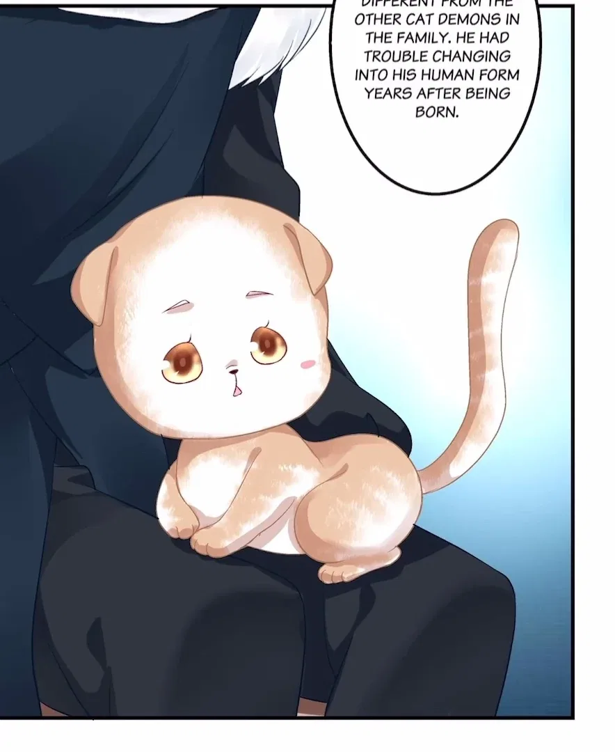 The Temptation of a Cat Demon Chapter 137 – Page 46
