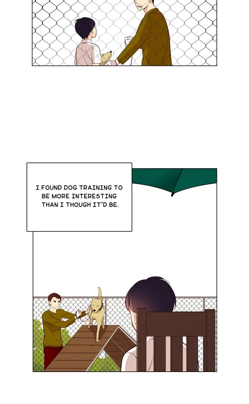 Romanian Gymnastic Society Chapter 52 – Page 19