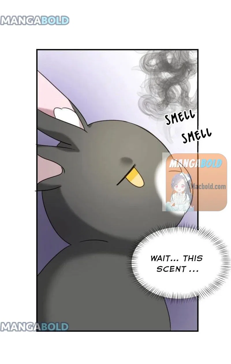 The Fake Princess’ OP Bunny Chapter 47 – Page 52
