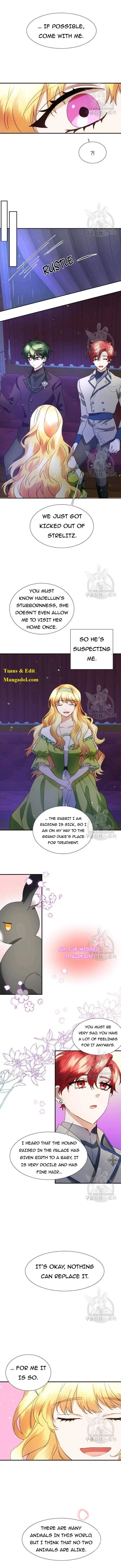 The Fake Princess’ OP Bunny Chapter 38 – Page 4
