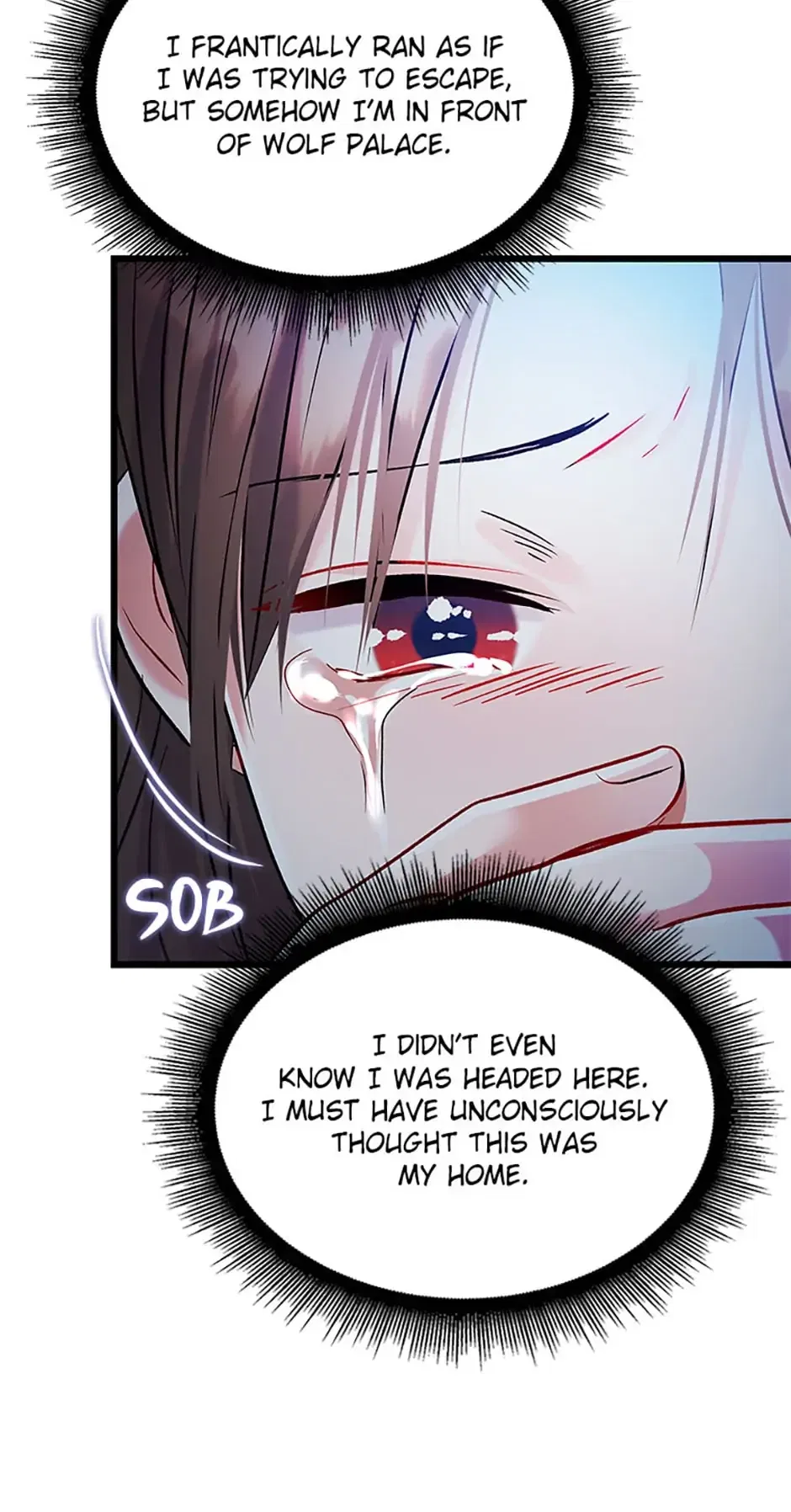 Heilang: The Bride Of The Black Wolf Chapter 52 – Page 17