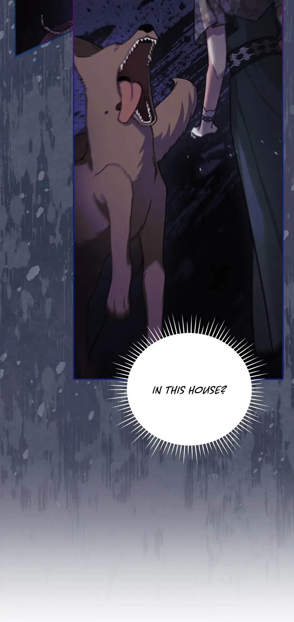 Solitary Lady Chapter 50 – Page 21
