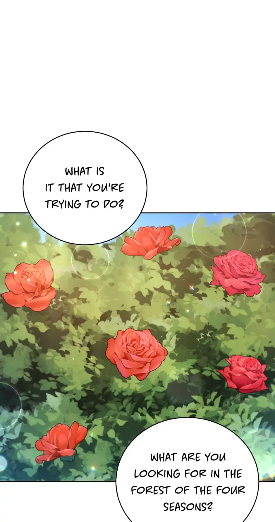 Solitary Lady Chapter 48 – Page 51