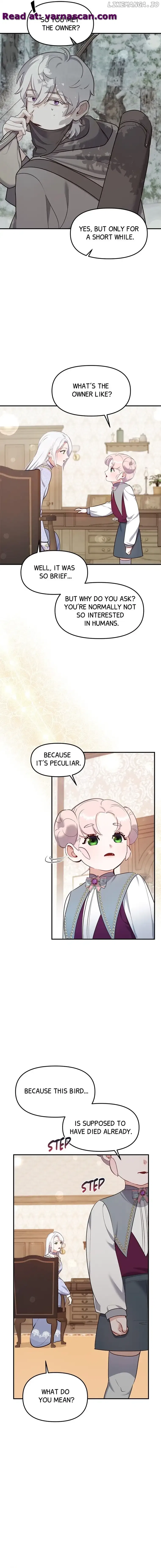 The Fake Duchess In Distresss Chapter 49 – Page 8