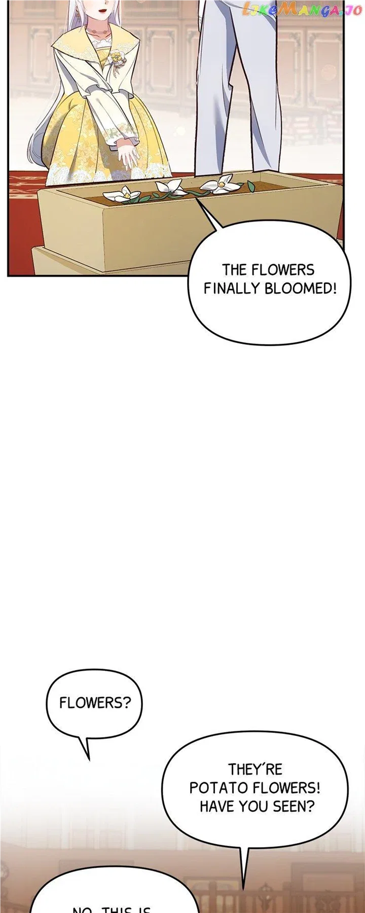 The Fake Duchess In Distresss Chapter 40 – Page 18