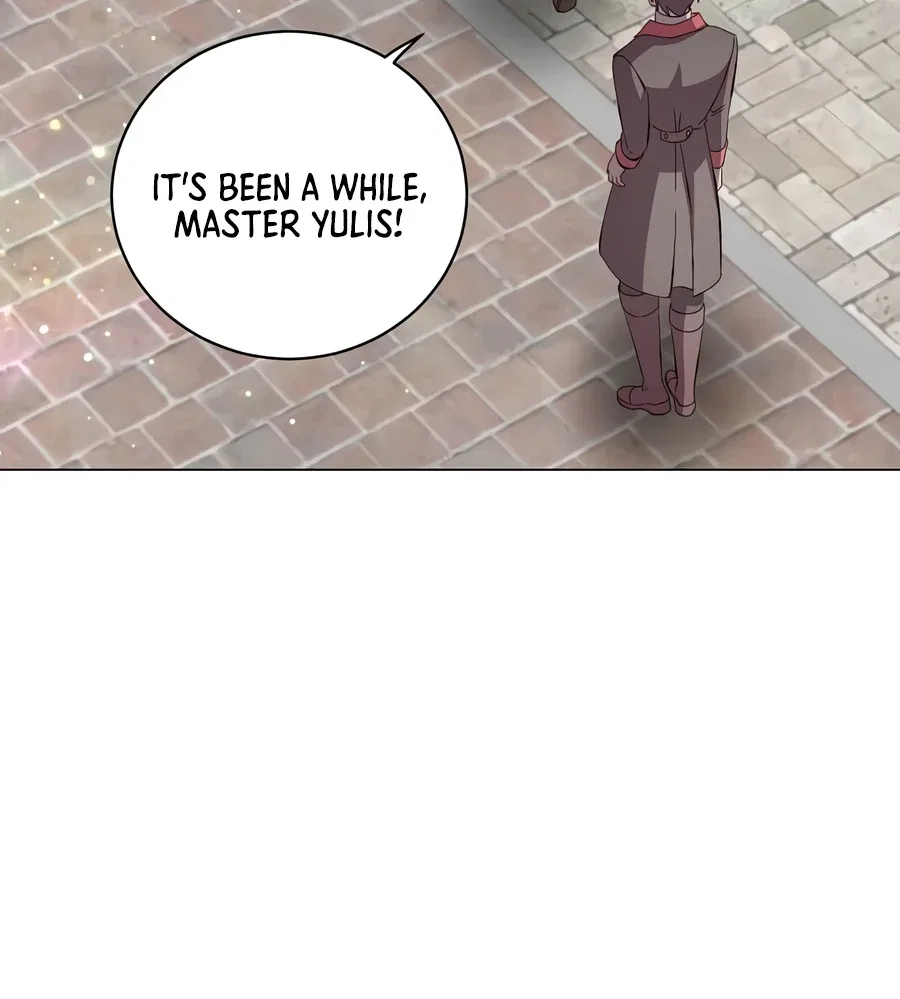The Max Level Hero has Returned! Chapter 247 – Page 8