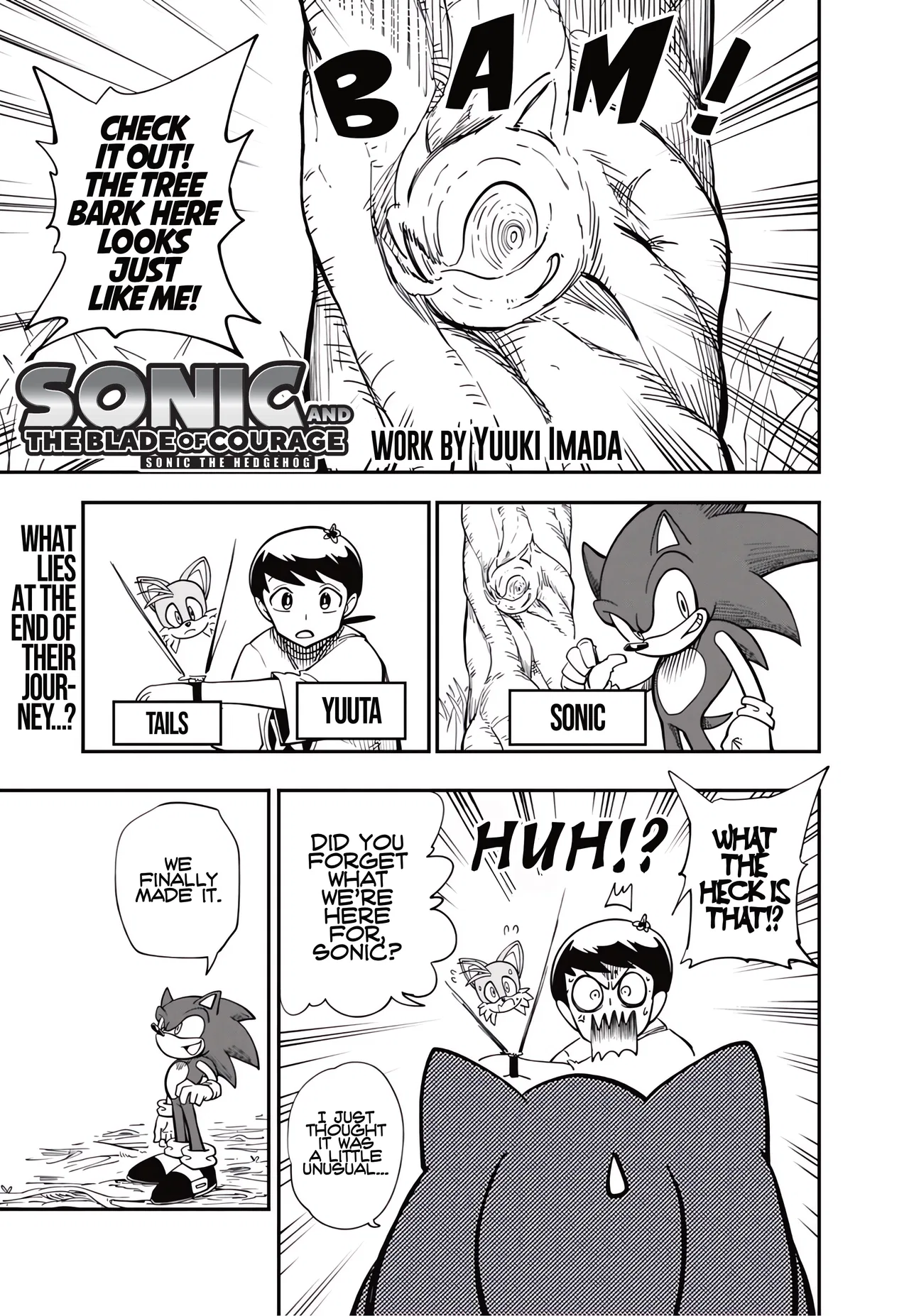 Sonic the Hedgehog: The Blade of Courage Chapter 5 – Page 1
