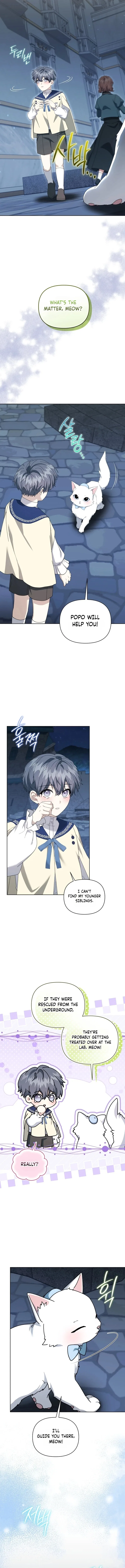 After Resignation, I Refuse the Obsession from the Male Leads Chapter 26 – Page 10