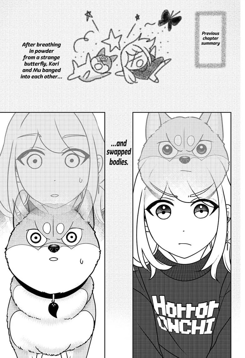 Shiba Inu Rooms Chapter 43 – Page 1