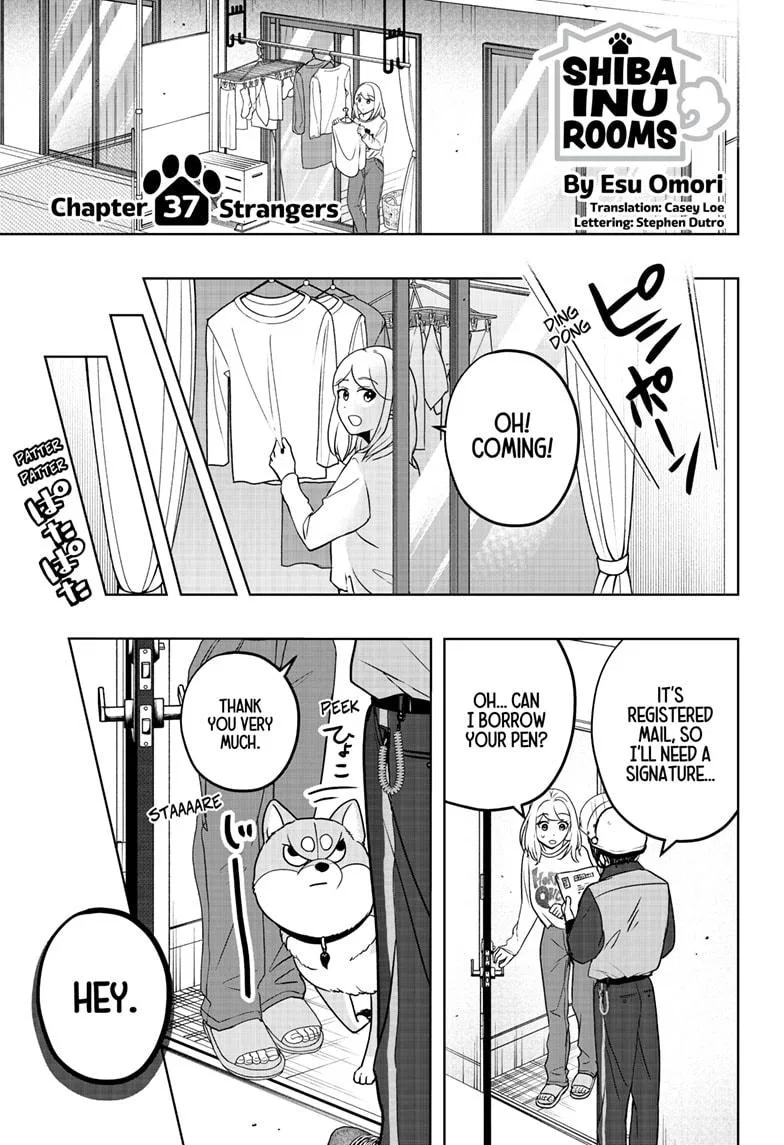 Shiba Inu Rooms Chapter 37 – Page 1